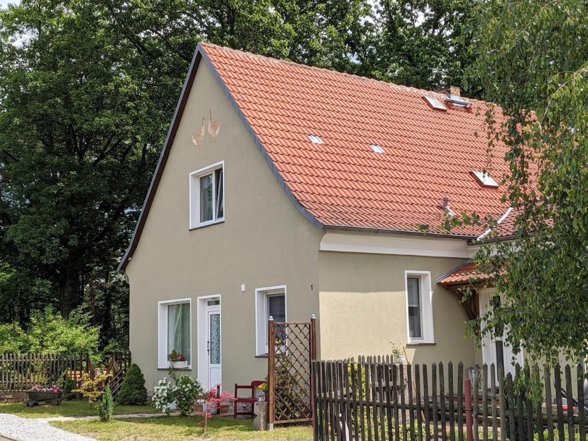 Helenes Ferienwohnung Auf Dem Bauernhof - Lausitzer Seenland Lauta ภายนอก รูปภาพ