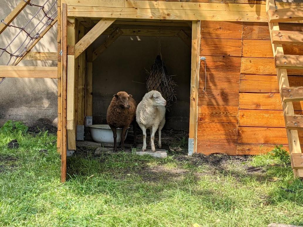 Helenes Ferienwohnung Auf Dem Bauernhof - Lausitzer Seenland Lauta ภายนอก รูปภาพ