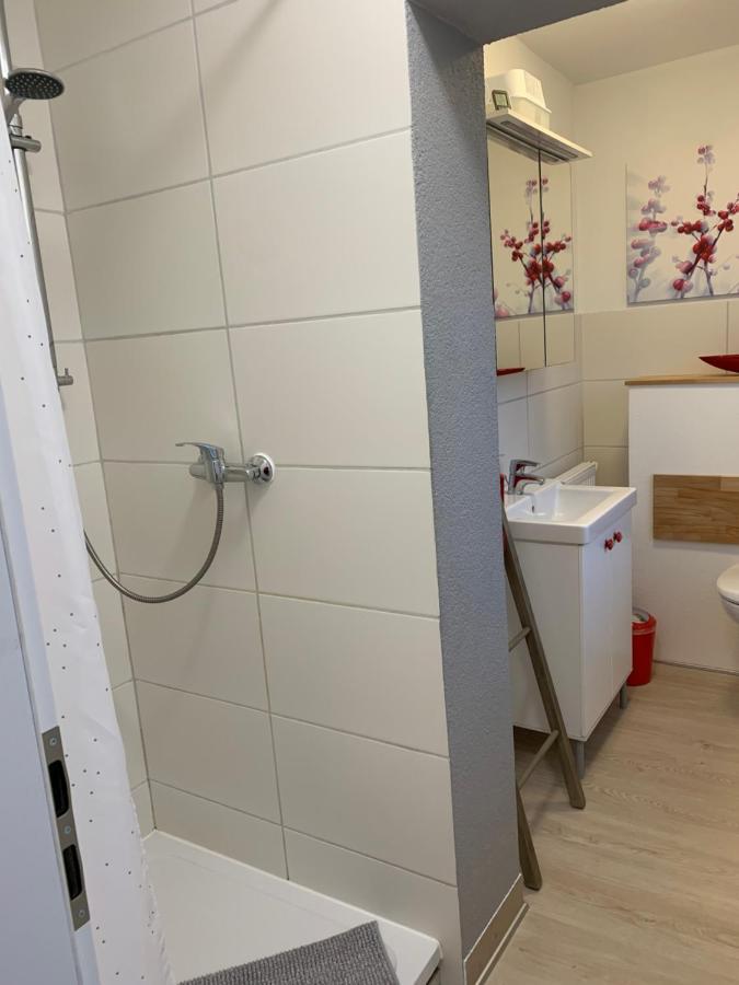 Helenes Ferienwohnung Auf Dem Bauernhof - Lausitzer Seenland Lauta ภายนอก รูปภาพ